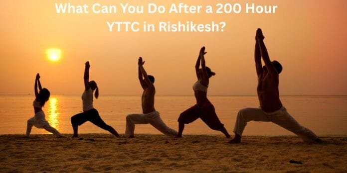 What Can You Do After a 200 Hour YTTC in Rishikesh