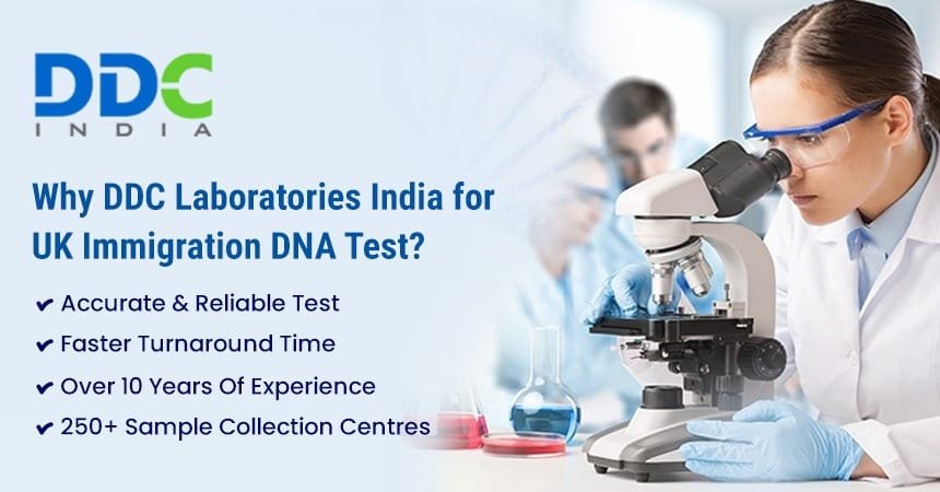 Coordination With UK Immigration Authorities and Petitioners