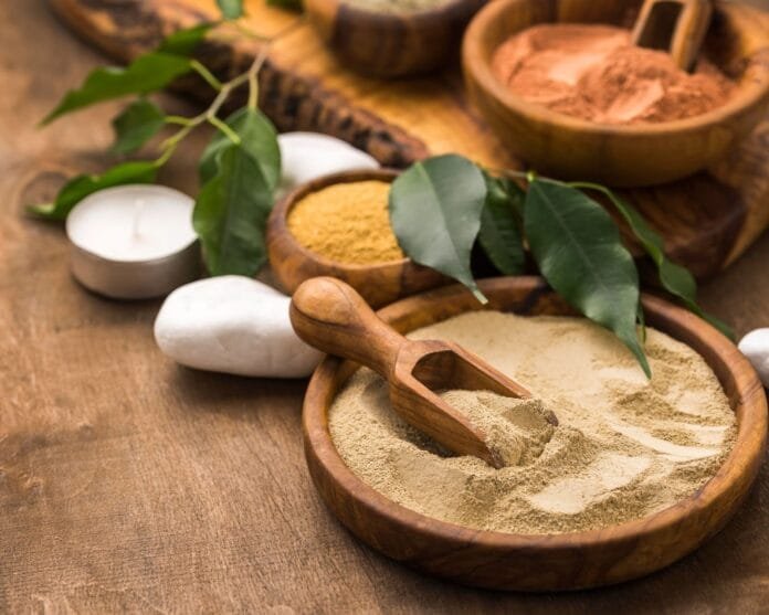 The Power of Ashwagandha: Why Naturoveda Uses It in Its Formulations The Power of Ashwagandha: Why Naturoveda Uses It in Its Formulations